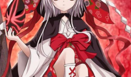 红 动漫,热血动漫的激情岁月